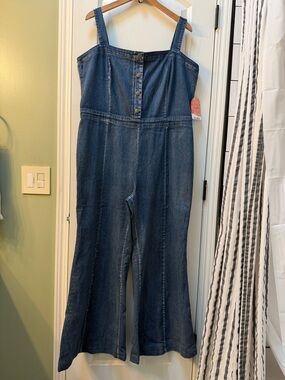 ARULA Denim Button-Front Jumpsuit with Wide Legs